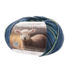 Fortissima 4 - fach Merino - Sockenwolle 100g | Farbe 101 - DENIM - rebecca - online.de