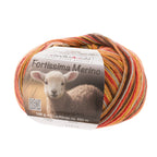 Fortissima 4 - fach Merino - Sockenwolle 100g | Farbe 102 - HERBST - rebecca - online.de