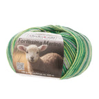 Fortissima 4 - fach Merino - Sockenwolle 100g | Farbe 106 - LAUB - rebecca - online.de