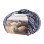 Fortissima 4 - fach Merino - Sockenwolle 100g | Farbe 107 - STEIN - rebecca - online.de