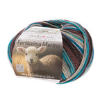 Fortissima 4 - fach Merino - Sockenwolle 100g | Farbe 108 - ISLAND - rebecca - online.de
