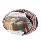 Fortissima 4 - fach Merino - Sockenwolle 100g | Farbe 110 - ACHAT - rebecca - online.de