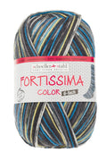 Fortissima 6 - fach bunte Sockenwolle 150g | Farbe 160 - BLAU - BUNT - rebecca - online.de