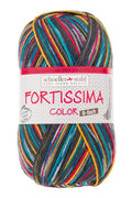 Fortissima 6 - fach bunte Sockenwolle 150g | Farbe 161 - PETROL - BUNT - rebecca - online.de