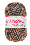 Fortissima 6 - fach bunte Sockenwolle 150g | Farbe 162 - BRAUN - BUNT - rebecca - online.de