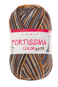 Fortissima 6 - fach bunte Sockenwolle 150g | Farbe 162 - BRAUN - BUNT - rebecca - online.de