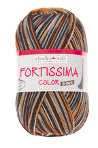Fortissima 6 - fach bunte Sockenwolle 150g | Farbe 162 - BRAUN - BUNT - rebecca - online.de