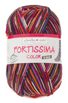 Fortissima 6 - fach bunte Sockenwolle 150g | Farbe 163 - BORDEAUX - BUNT - rebecca - online.de