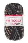 Fortissima 6 - fach bunte Sockenwolle 150g | Farbe 166 - RODEO - rebecca - online.de