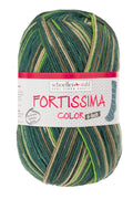Fortissima 6 - fach bunte Sockenwolle 150g | Farbe 167 - DSCHUNGEL - rebecca - online.de