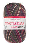 Fortissima 6 - fach bunte Sockenwolle 150g | Farbe 168 - EXPEDITION - rebecca - online.de