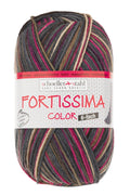 Fortissima 6 - fach bunte Sockenwolle 150g | Farbe 168 - EXPEDITION - rebecca - online.de