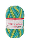 Fortissima 6 - fach bunte Sockenwolle 150g | Farbe 200 - LIBELLE - rebecca - online.de