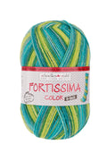 Fortissima 6 - fach bunte Sockenwolle 150g | Farbe 200 - LIBELLE - rebecca - online.de