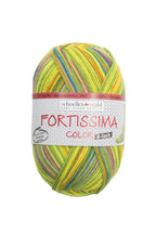 Fortissima 6 - fach bunte Sockenwolle 150g | Farbe 232 - GRUEN - rebecca - online.de