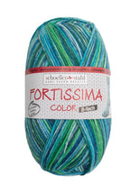 Fortissima 8 - fach bunte Sockenwolle 150g | Farbe 809 - SEE - rebecca - online.de