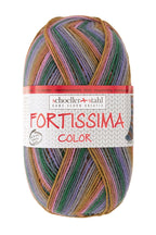 Fortissima bunte 4 - fach Sockenwolle | Farbe 2432 - IZU - rebecca - online.de