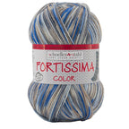 Fortissima bunte 4 - fach Sockenwolle | Farbe 2439 - WOLKE - rebecca - online.de