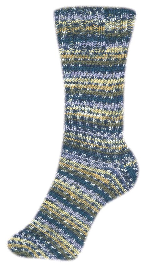 Fortissima bunte 4 - fach Sockenwolle | Farbe 2491 - COUNTRY - rebecca - online.de