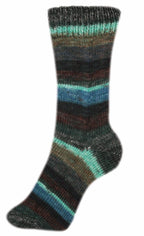 Fortissima bunte 4 - fach Sockenwolle | Farbe 2499 - PFLAUME - rebecca - online.de