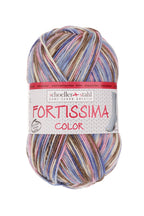 Fortissima bunte 4 - fach Sockenwolle | Farbe 2500 - RAUREIF - rebecca - online.de