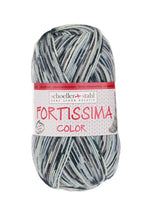 Fortissima bunte 4 - fach Sockenwolle | Farbe 2501 - TERRAZZO - rebecca - online.de
