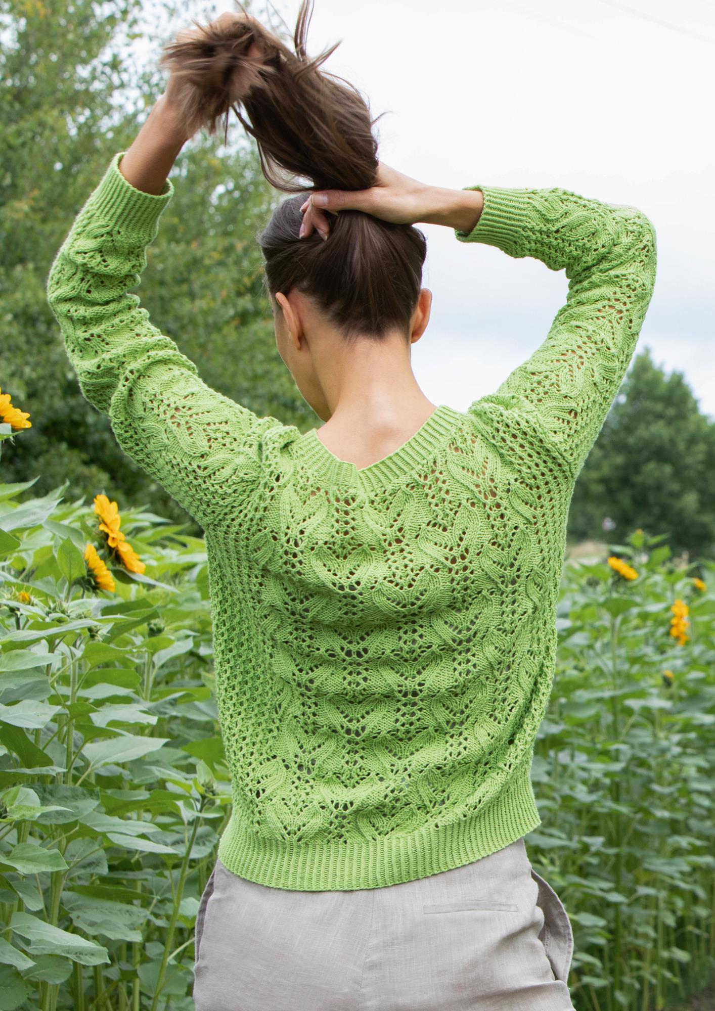 Pullover Ranken