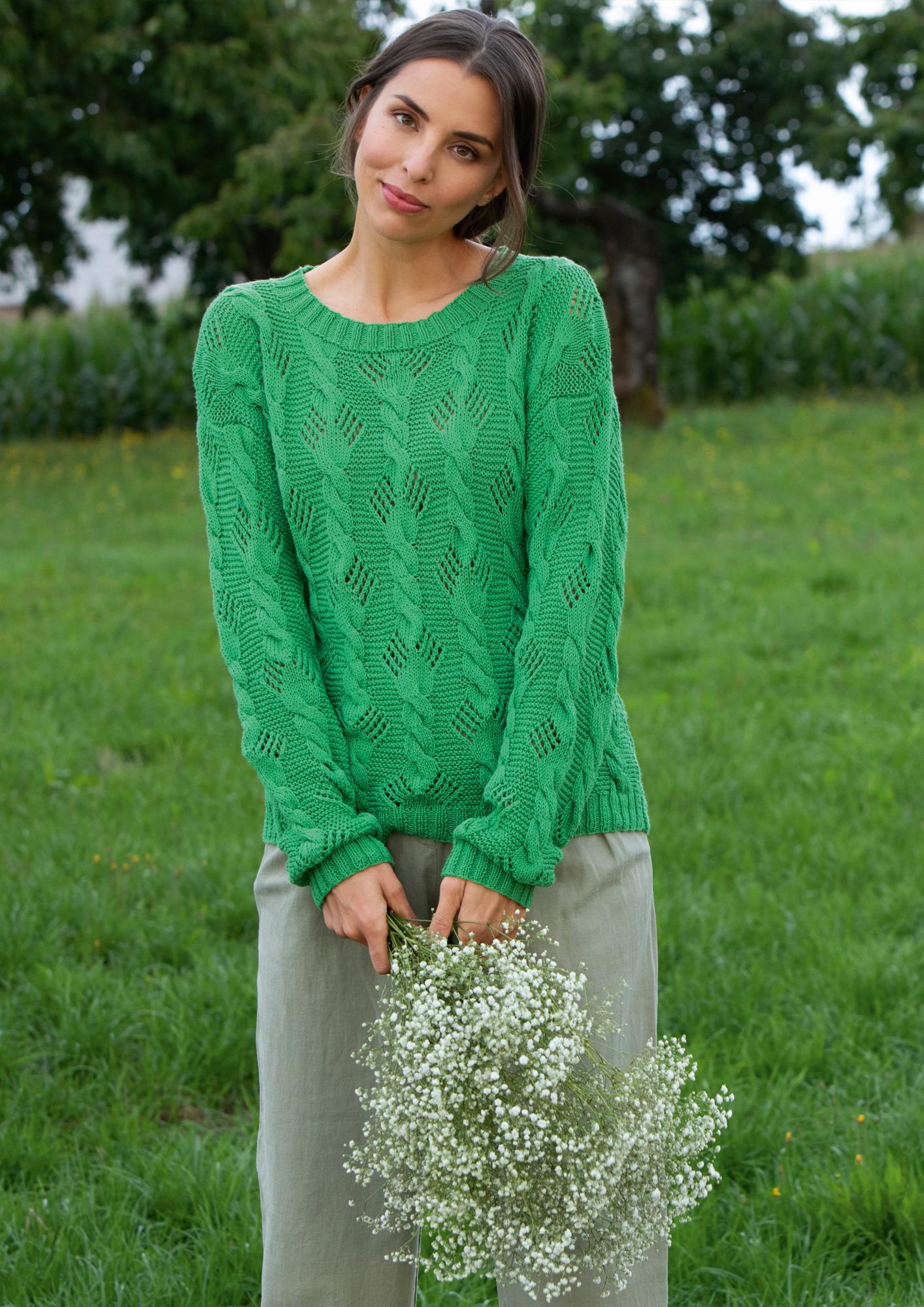 Pullover Farnwedel