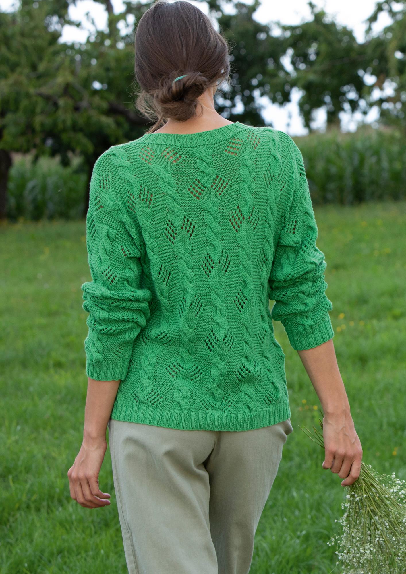 Pullover Farnwedel
