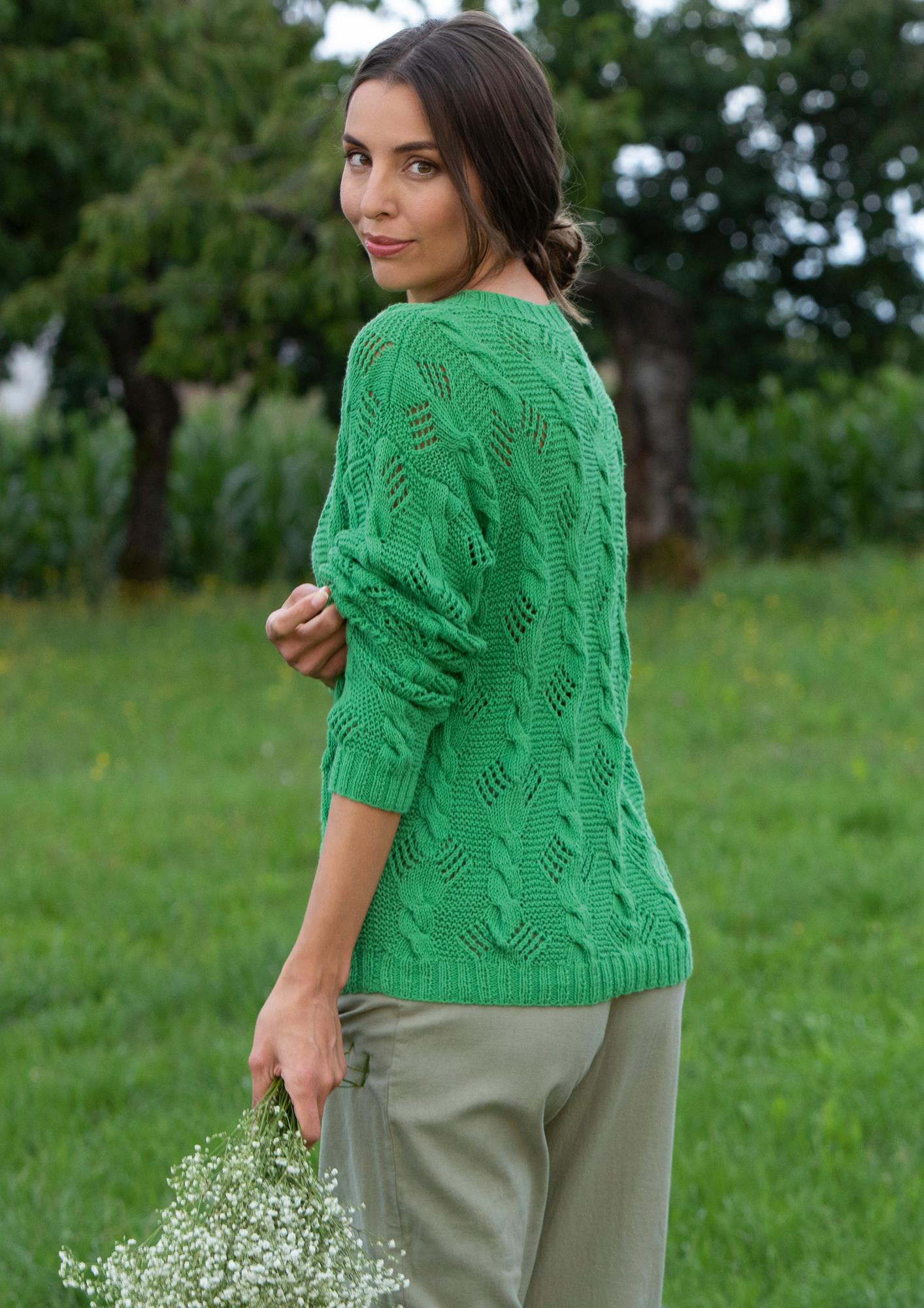 Pullover Farnwedel