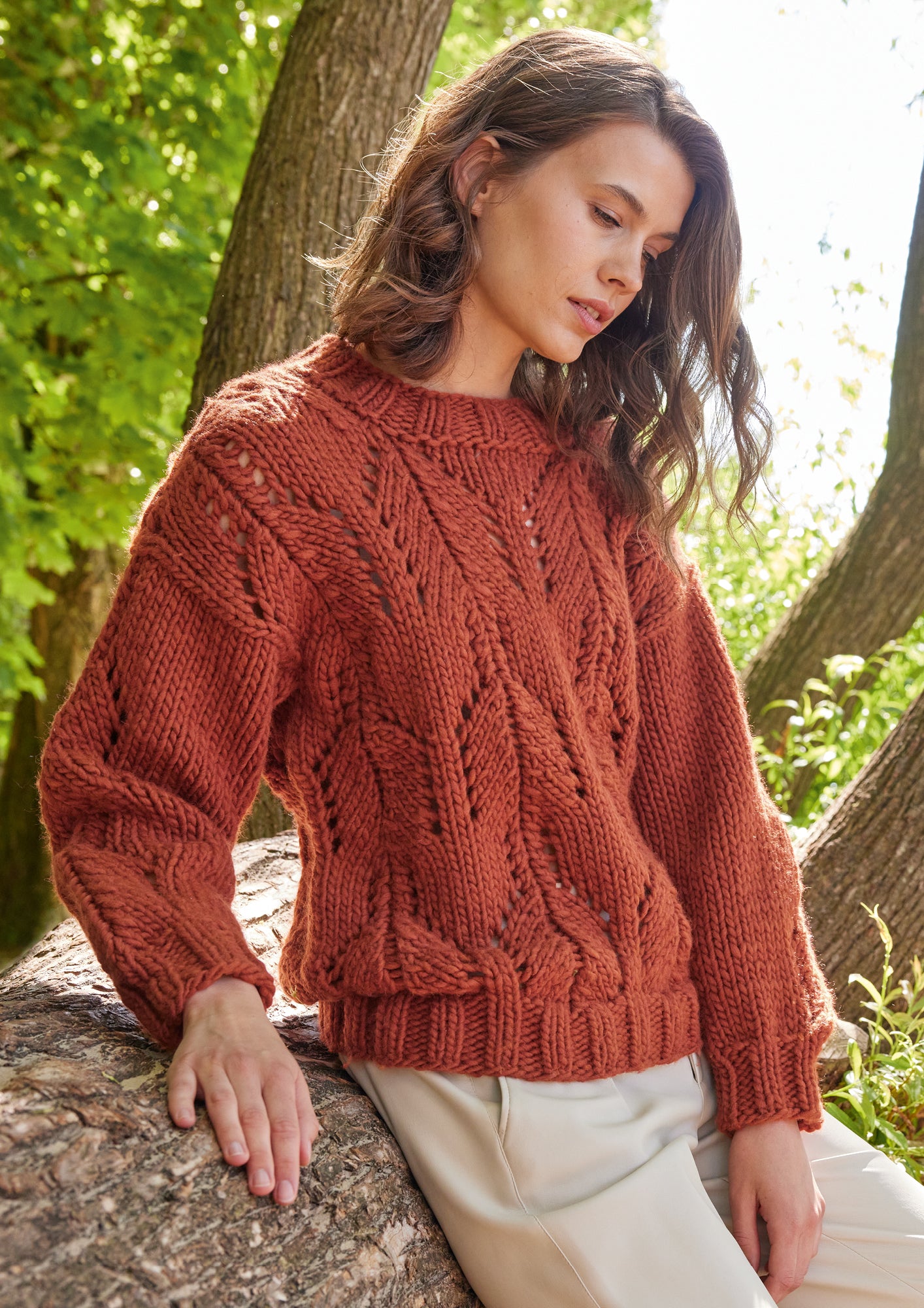 Pullover Wollmut