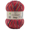 Step 4 Color Exp | 420 M - 100 G | 256 - Rot - Pflaume - Rebecca - Online.de