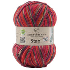 Step 4 Color Exp | 420 M - 100 G | 256 - Rot - Pflaume - Rebecca - Online.de