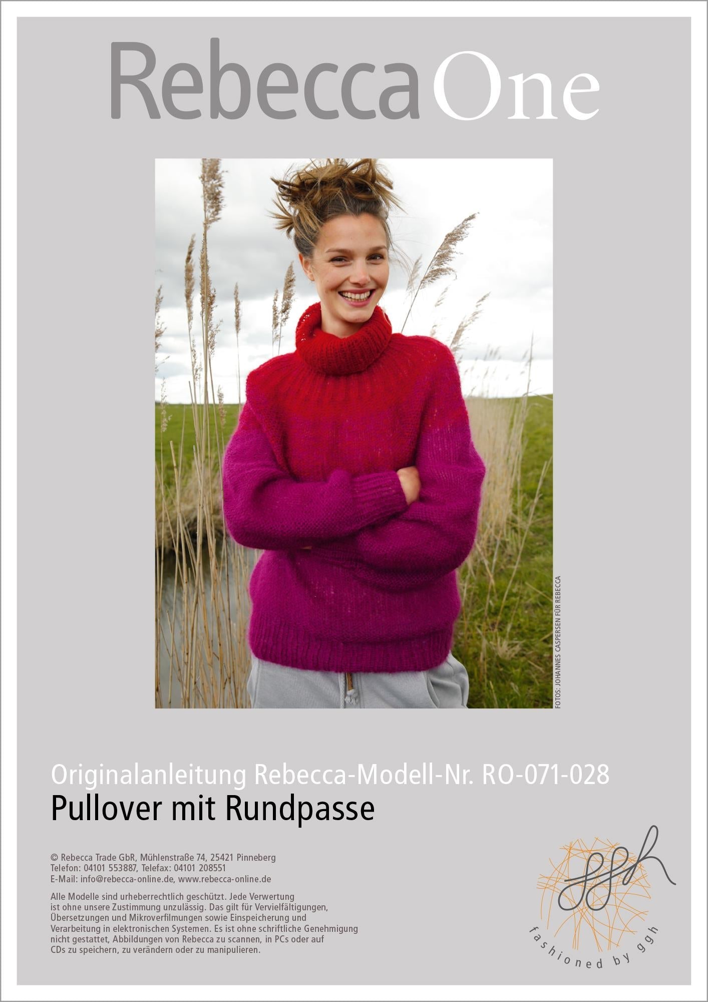Strickanleitung - Pullover mit Farbflächen - Rebecca - Online.de